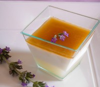/album/galleria-foto-homepage/panna-cotta-jpg/
